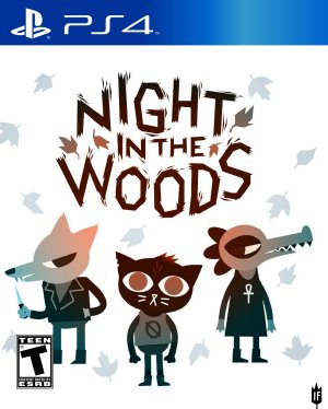 Night in The Woods